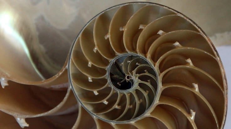 Imágenes fractal que ayuda a combatir el estrés