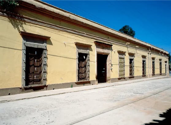 ¿Te gusta el tequila? ¡Vívelo a través de la Ruta del Tequila!