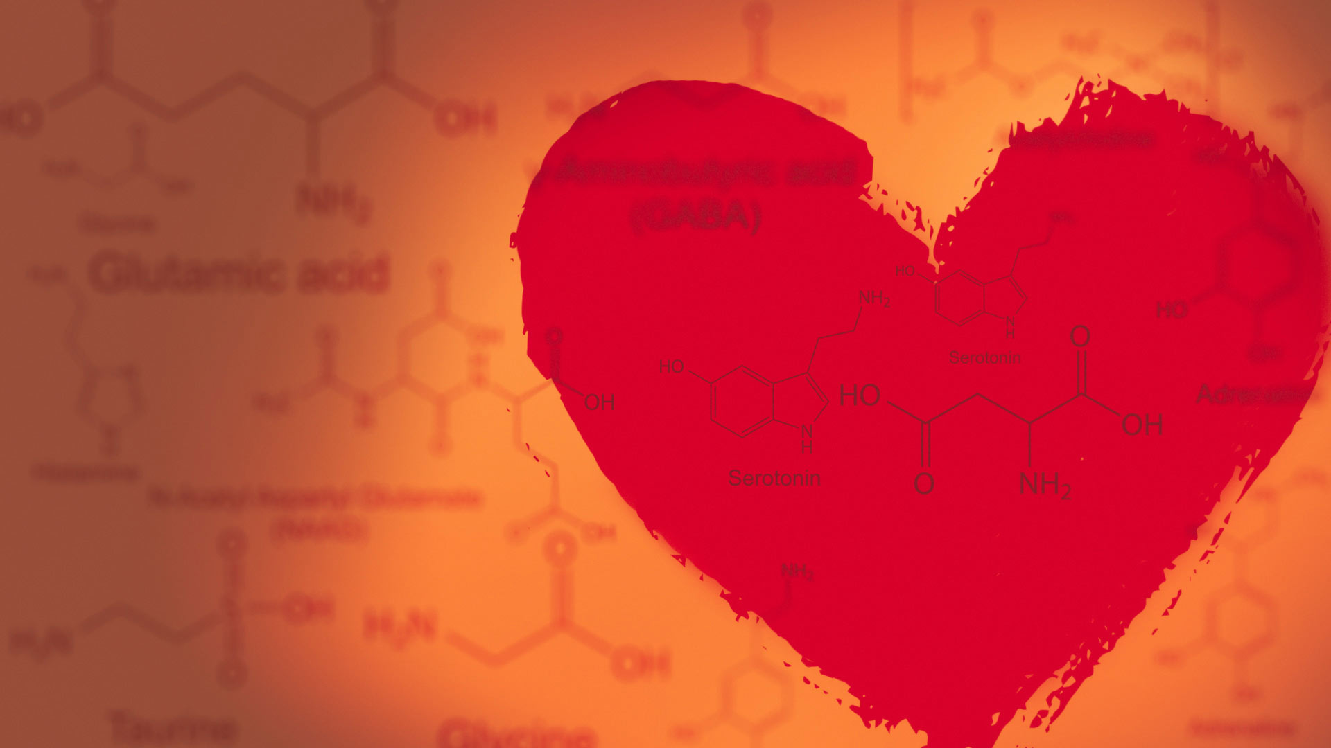 la-quimica-en-el-amor-1-Dec-17-2022-09-28-35-1900-PM