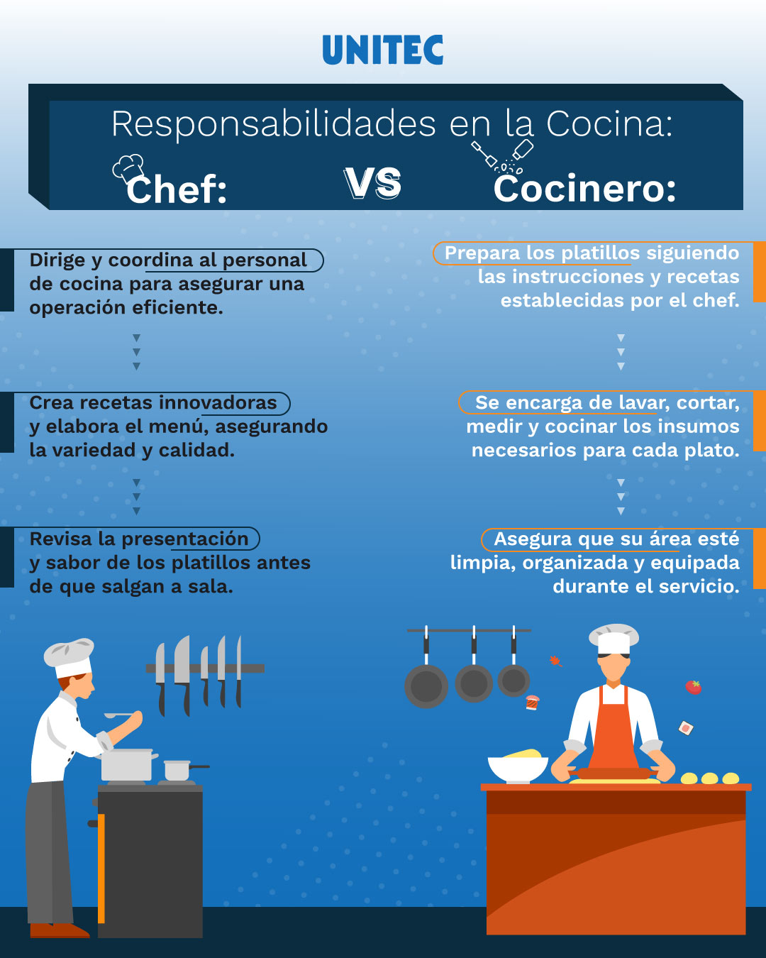 Cuáles son las diferencias clave entre un chef y un cocinero