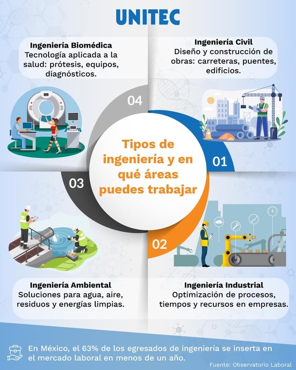 Tipos de ingeniería y en qué áreas puedes trabajar, infografía