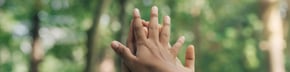 ¿Cómo tener una carrera con impacto social en el medio ambiente?