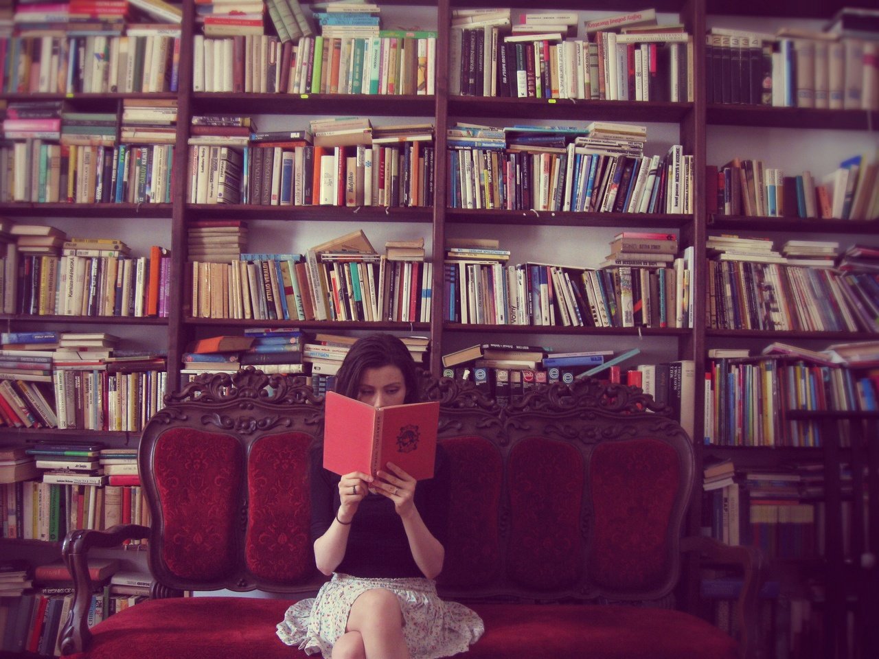 TIPS: Estos son los 10 libros más leídos en el mundo