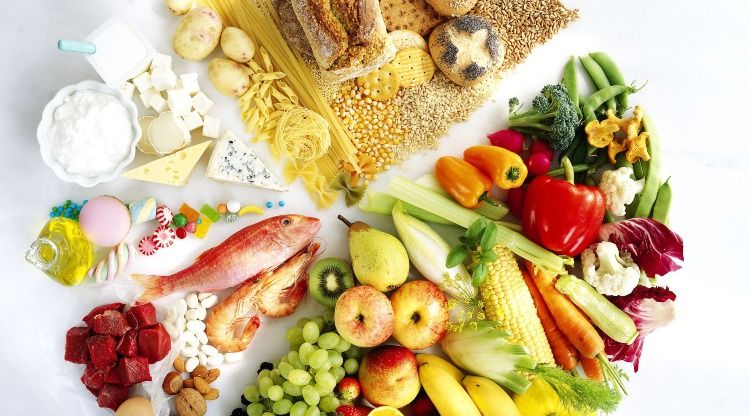 ¿Para qué sirve el Plato del bien comer?