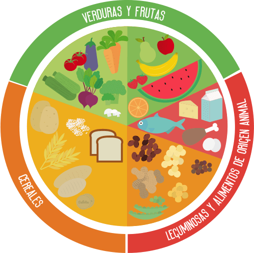 ¿Para qué sirve el Plato del bien comer?