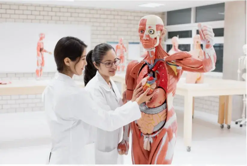 Carreras que no llevan matemáticas - ciencias de la salud