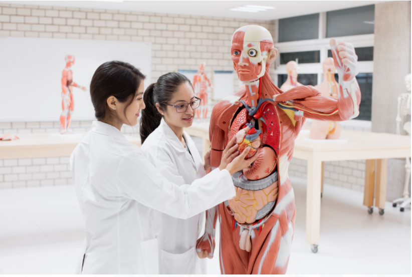 5 razones para estudiar una carrera en Ciencias de la Salud en la UNITEC 5 razones para estudiar una carrera en Ciencias de la Salud en la UNITEC