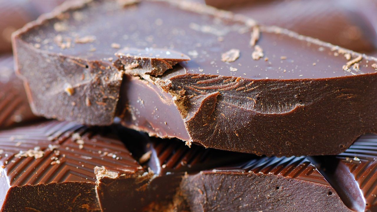 La historia del chocolate: ciencia tecnología detrás del cacao