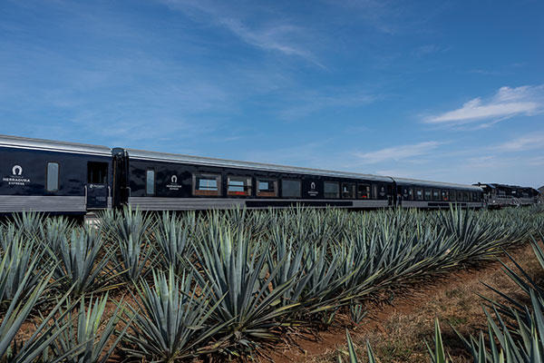 Los trenes del tequila