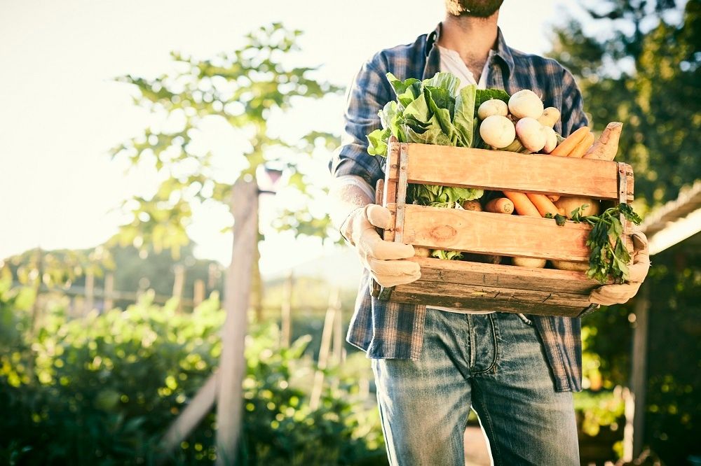 Productos orgánicos: una saludable tendencia